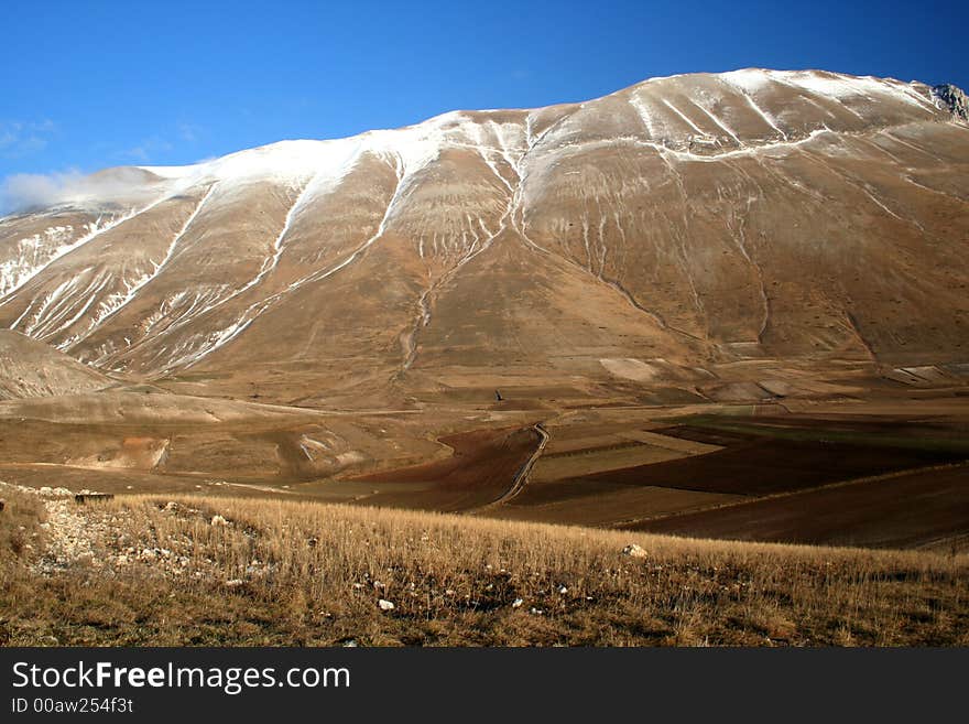 Castelluccio / mountain and fields detail 2