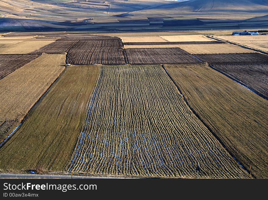 Castelluccio / fields detail