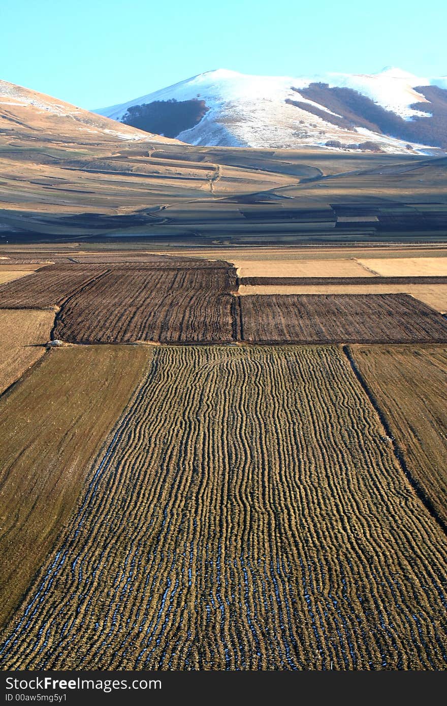 Castelluccio / Mountain And Fields Detail 4