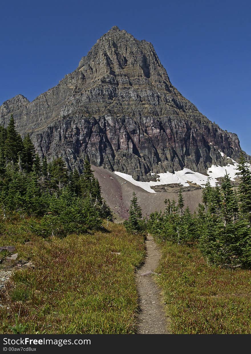 Trail to Mt Clements