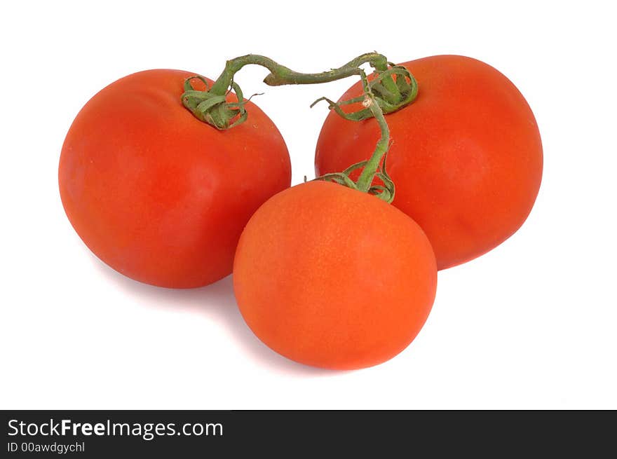 Close up shot of three tomatoes on stalk, isolated