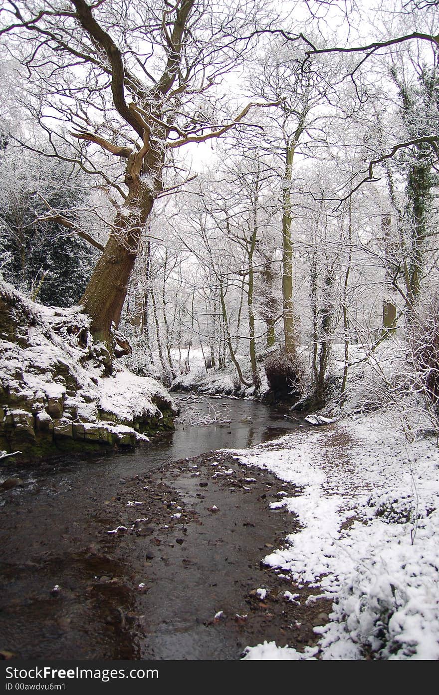 Winter Stream