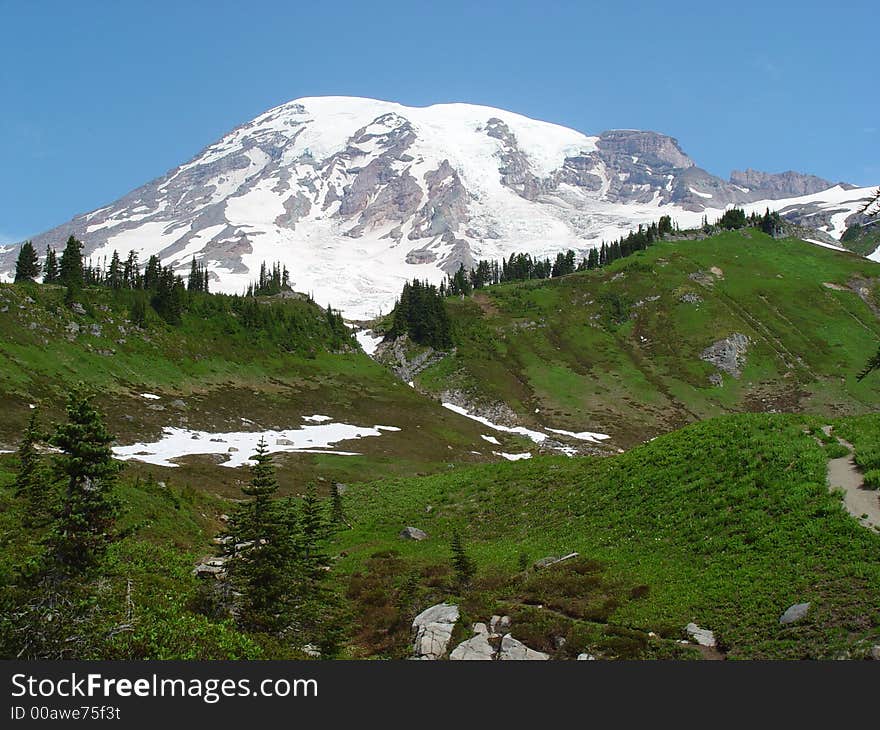 View of Mount Rainier