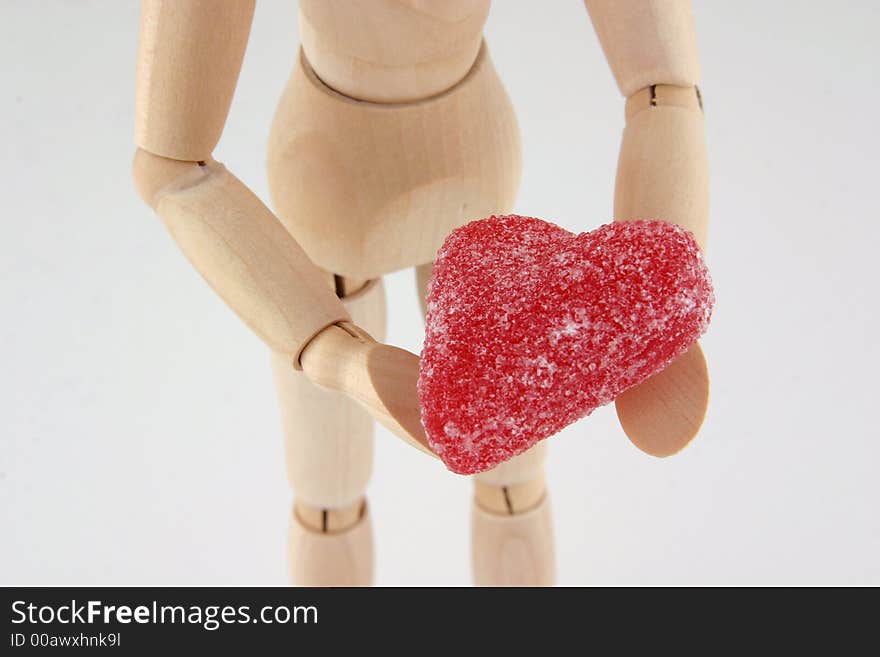 Manikin Heart Closeup