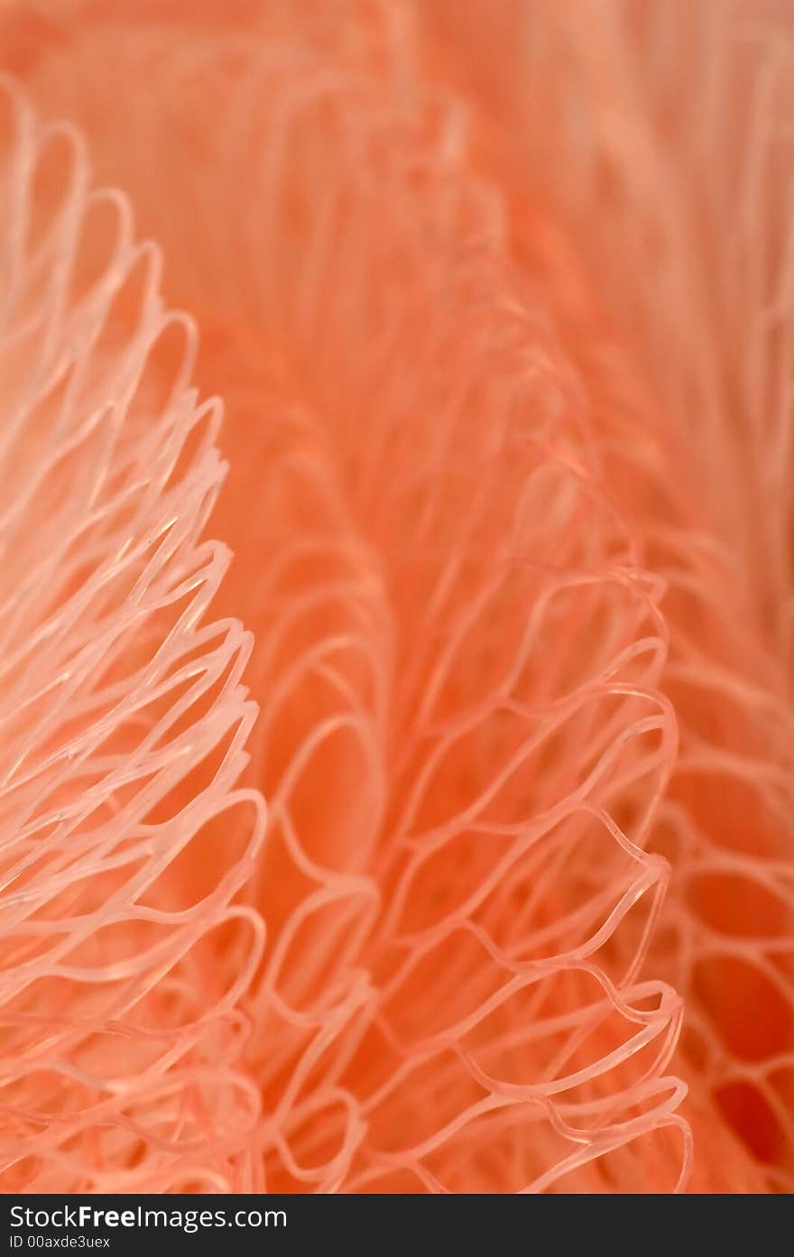 Close up of a sponge, made for background purposes. Close up of a sponge, made for background purposes