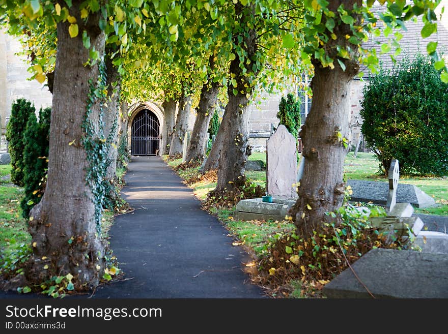 Tree lined path leading to a church door. Tree lined path leading to a church door