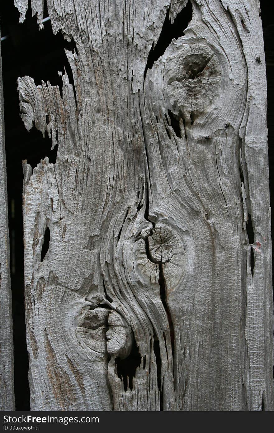 A closeup of old wood.