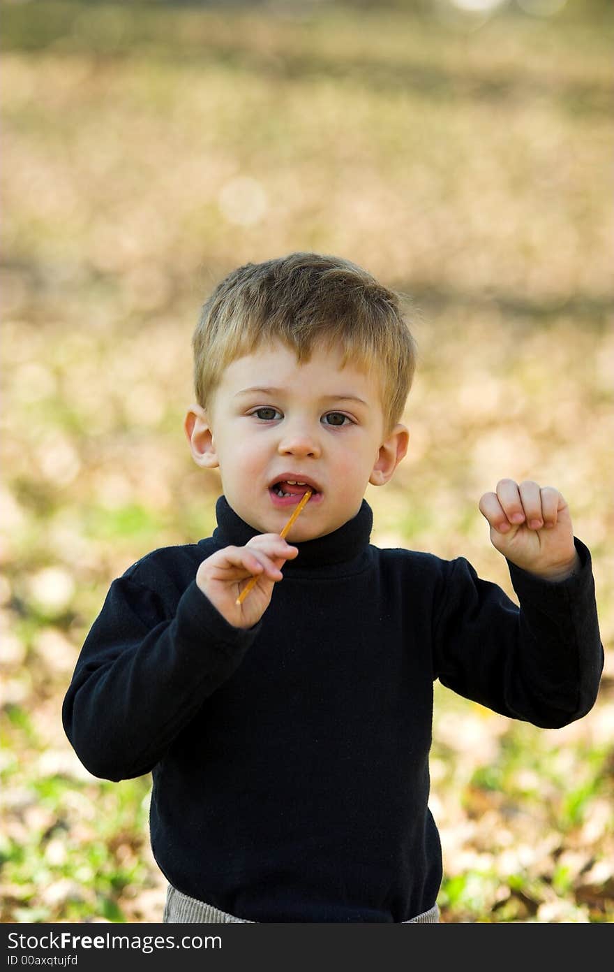 A Little Boy Eating Short Stick