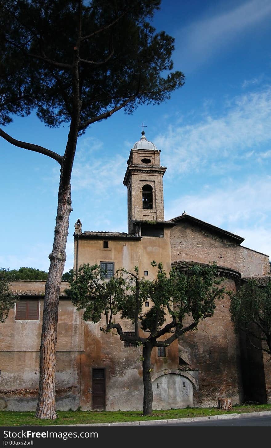 Pine tree and medieval church