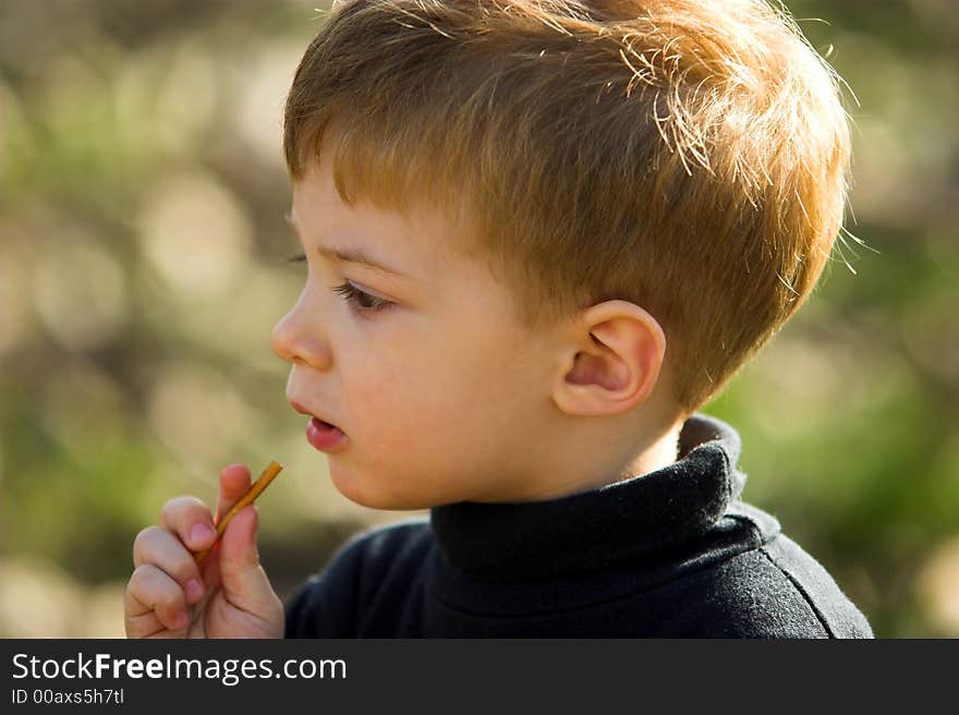 A little boy eating short stick in the park