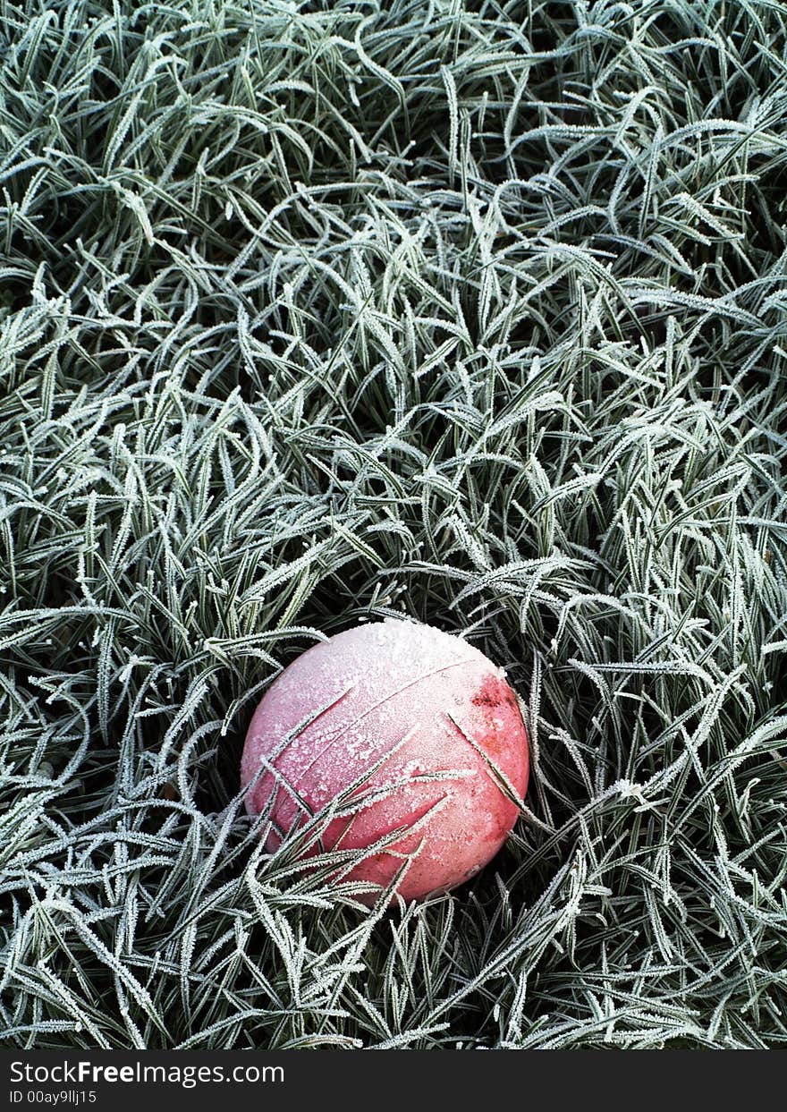 Frozen ball2