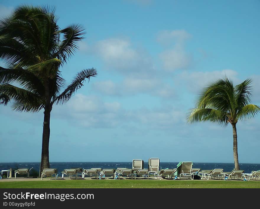 Ocean, Palm Trees