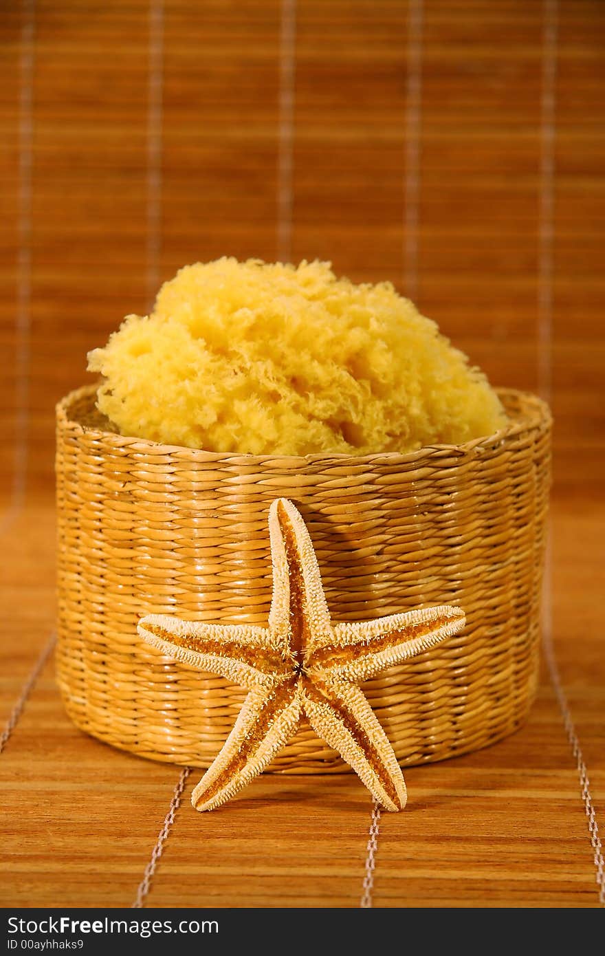 Sea sponge and starfish on bamboo mat