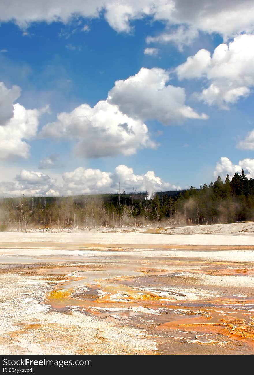 Yellowstone geyser field