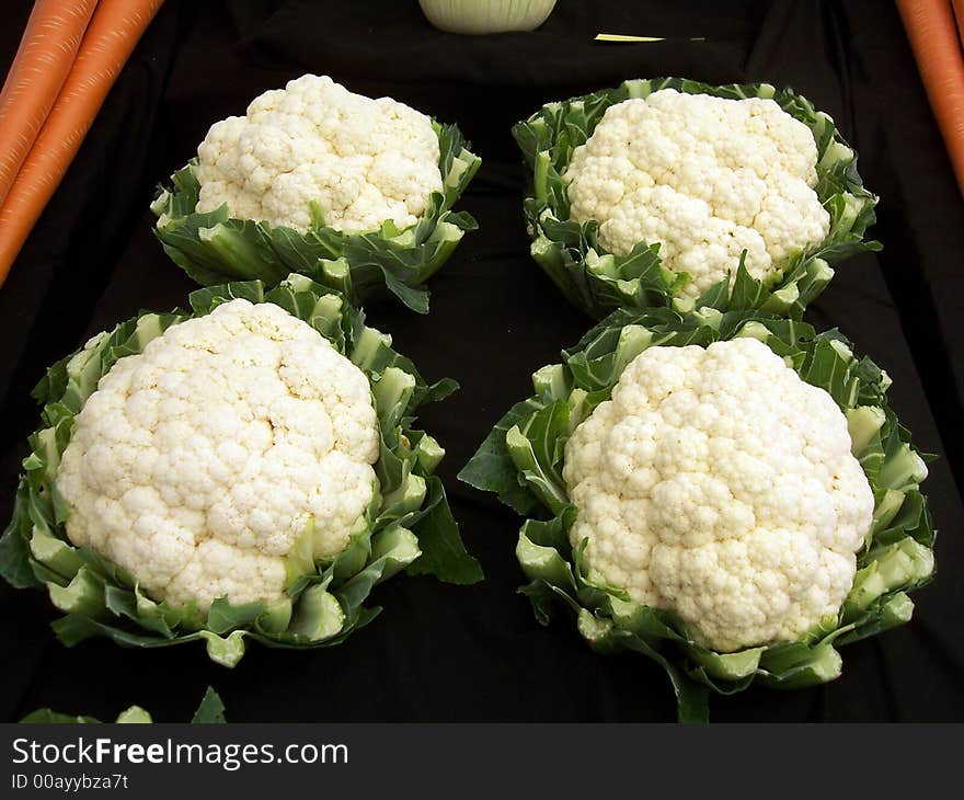 Cauliflowers at vegetable show, Pembroke, Pembrokeshire, Wales