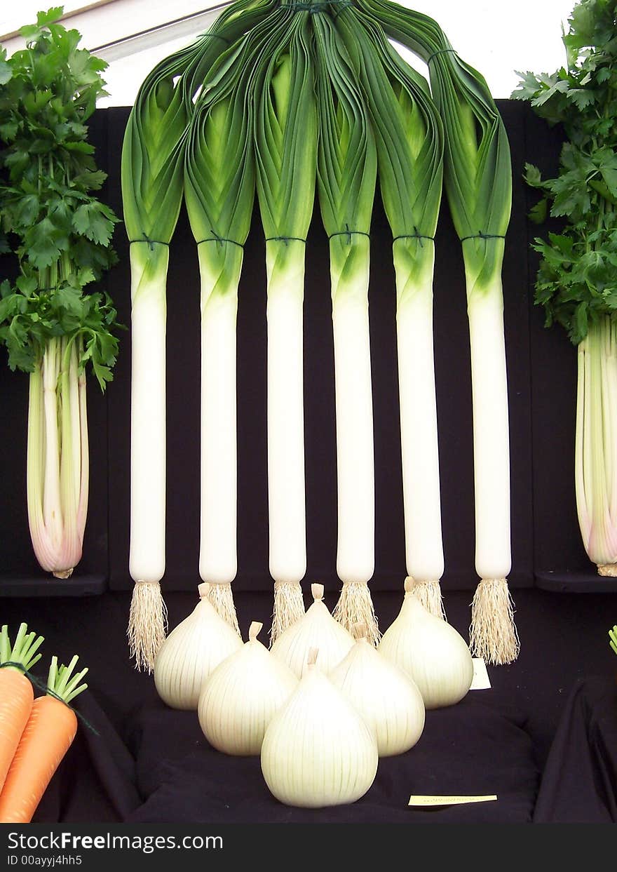 Vegetables at show, Pembroke, Pembrokeshire, Wales. Vegetables at show, Pembroke, Pembrokeshire, Wales