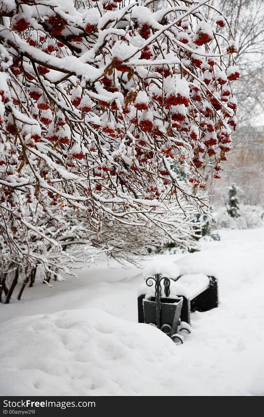 After snowstorm. Street lamp.