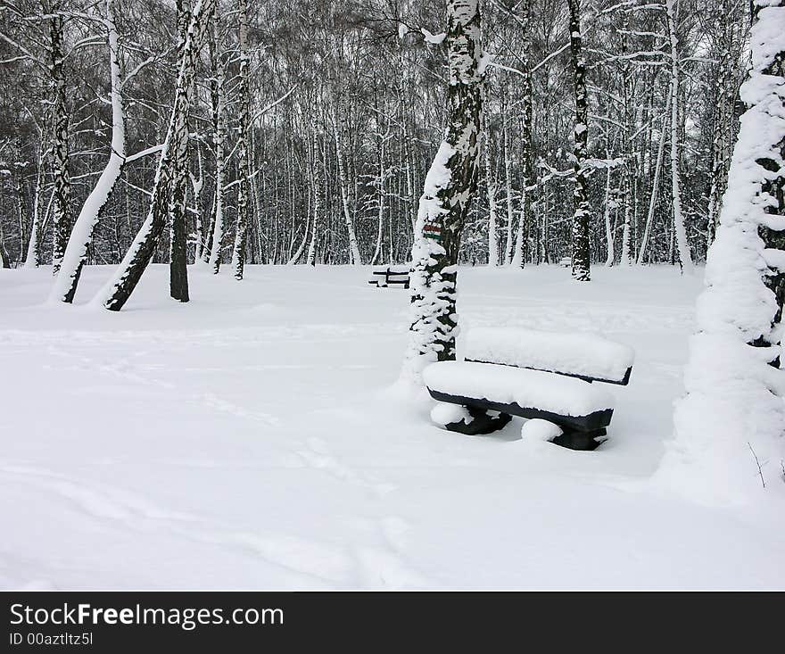 Park with wooden bench under thick snow cover. Park with wooden bench under thick snow cover