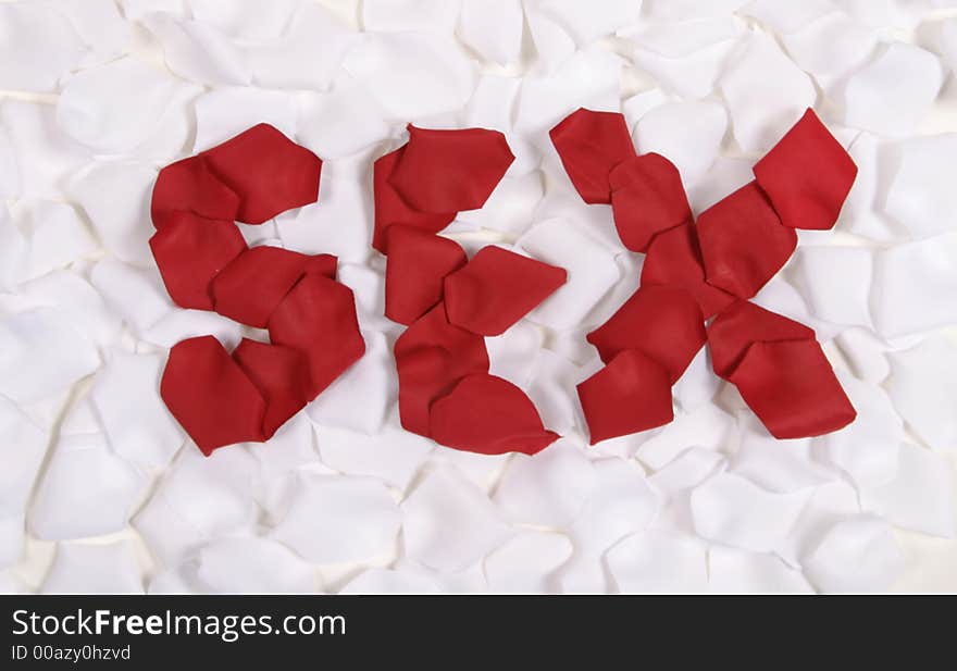 Red Rose Pedals Spelling Sex