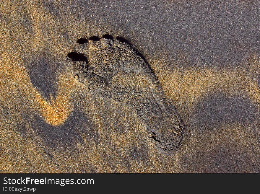 Footprint at the sand in oaxaca, mexico. Footprint at the sand in oaxaca, mexico