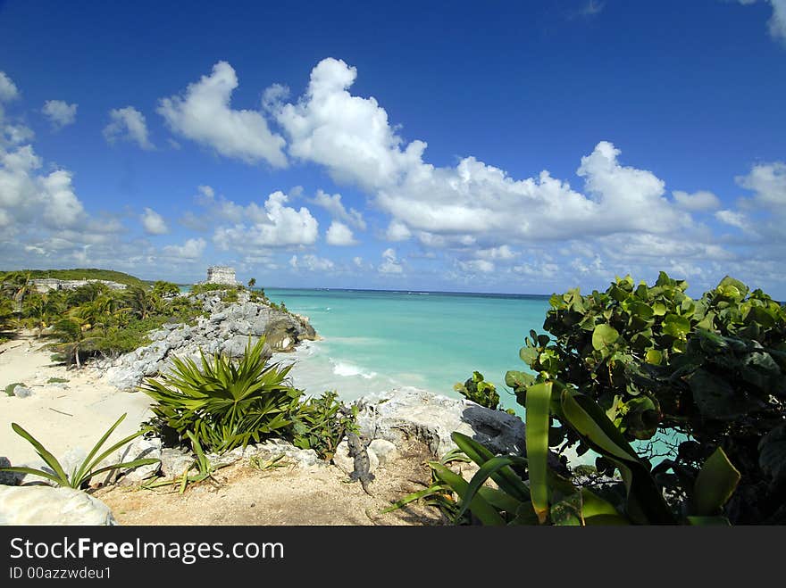 Iguana getting a tan in Tulum Mexico. Iguana getting a tan in Tulum Mexico