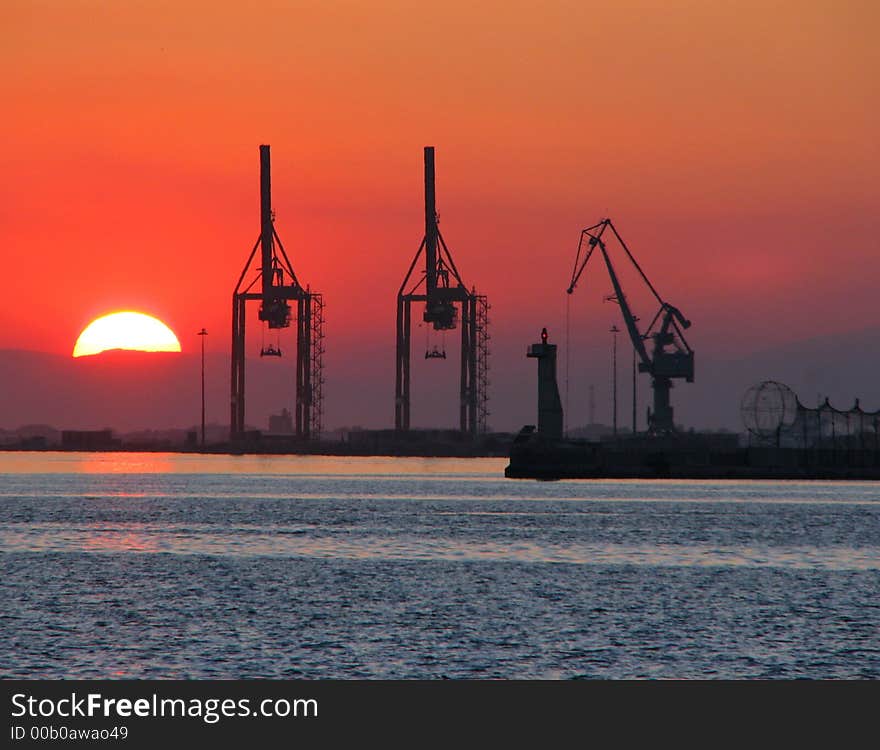 The cranes rest in sunset. The cranes rest in sunset