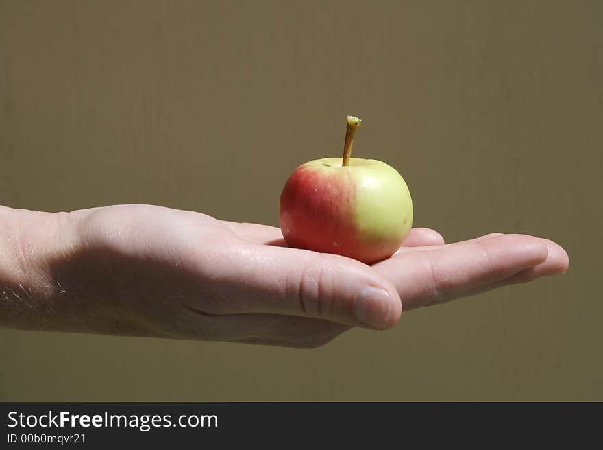 Baby Apple in the palm of a hand