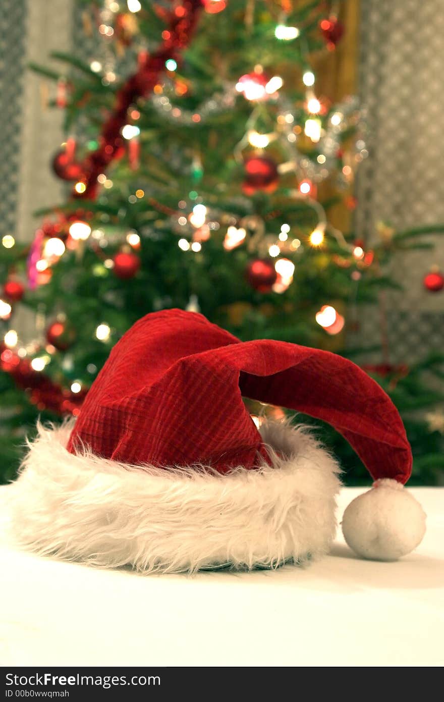 Santa Claus Hat