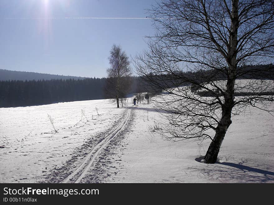 Winter on the czech highland. Winter on the czech highland