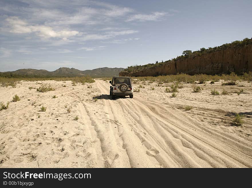 Mexican Desert