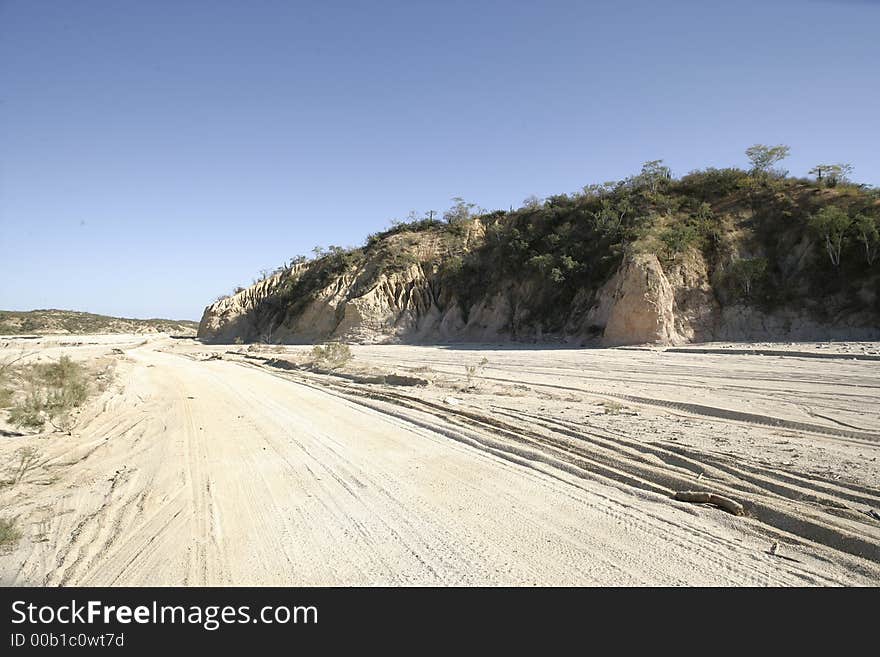 Mexican desert