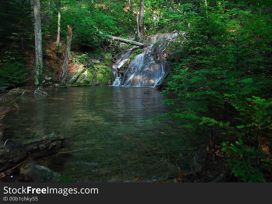 Waterfall in the forest surrounded by trees and logs