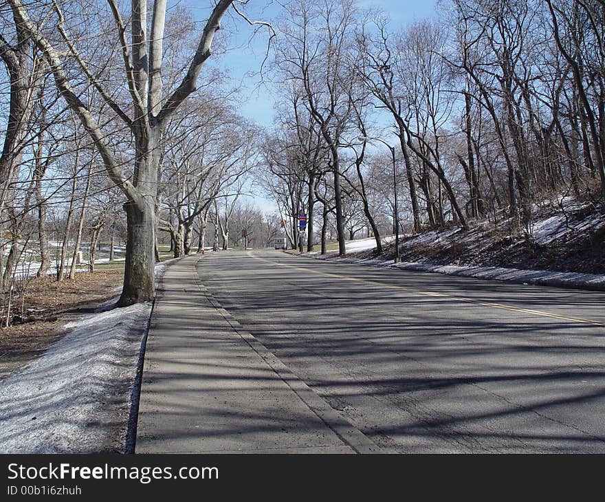 Empty road in winter with leafless trees. Empty road in winter with leafless trees