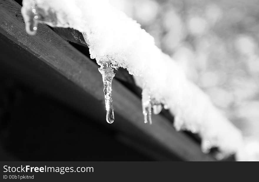 Winter Icicle