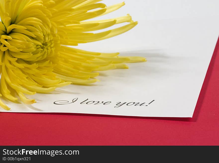 Love note with a yellow flower. Love note with a yellow flower