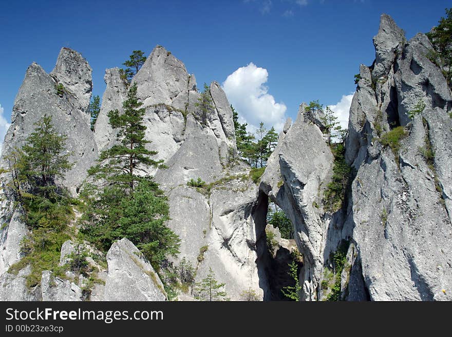 Mountain and tree in Europe