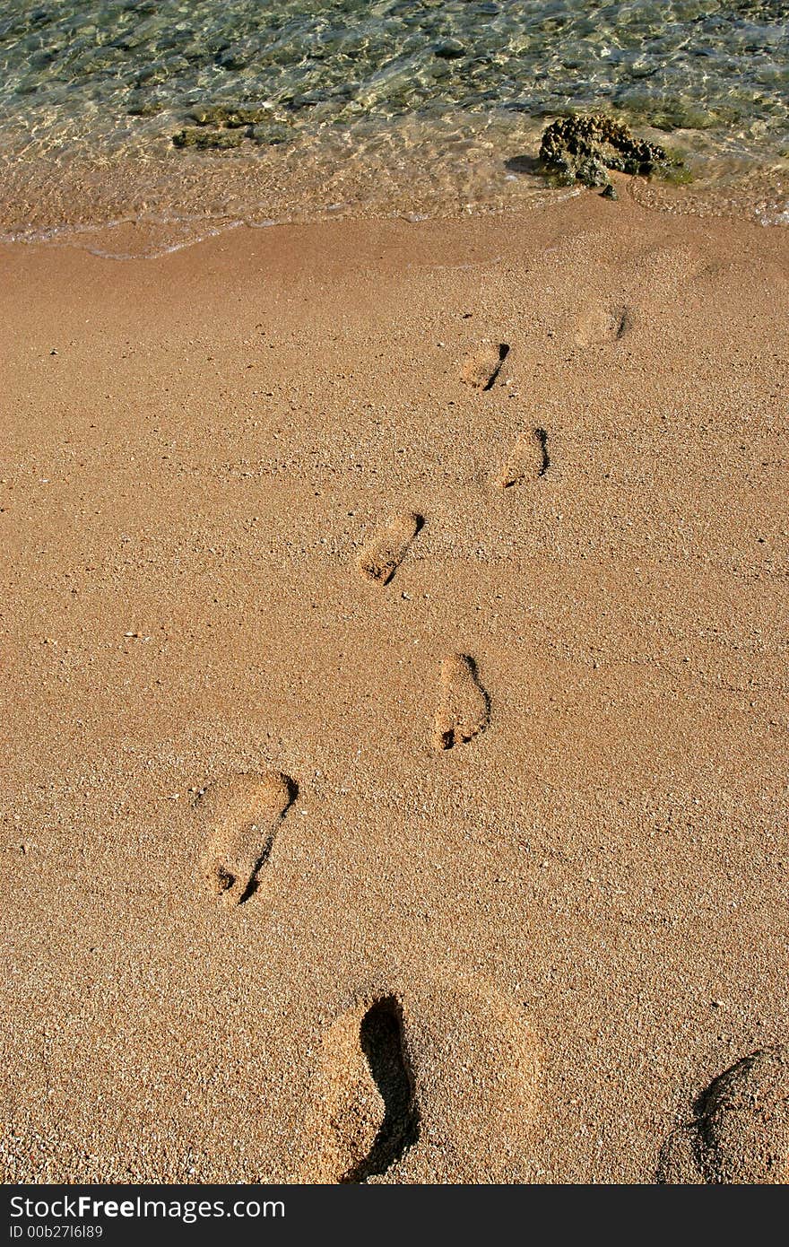 Footsteps on a sandy beach, leaving the water. Footsteps on a sandy beach, leaving the water