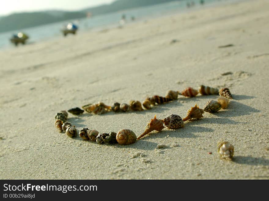 Heart From Seashells