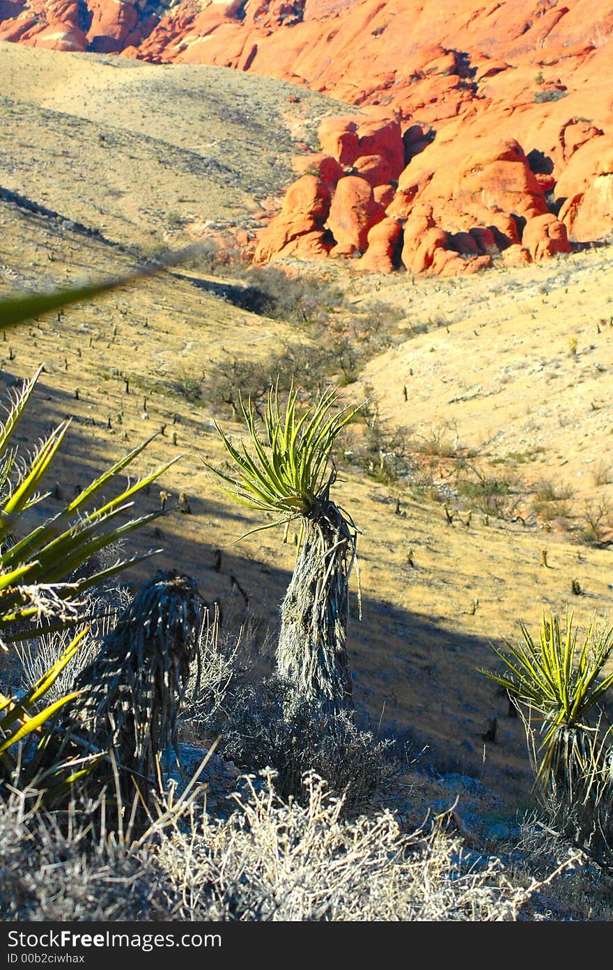 Desert and Mountains