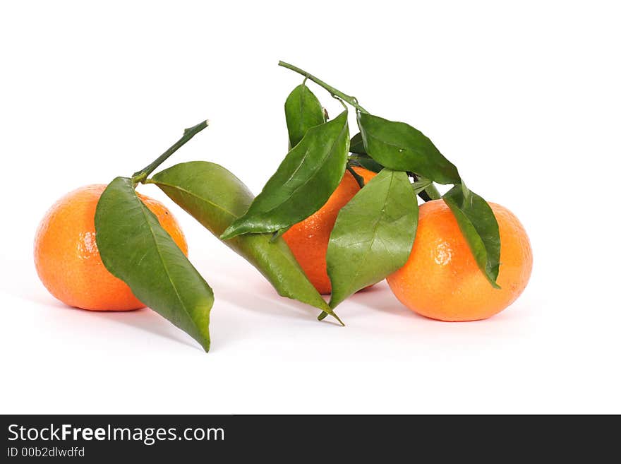 Three orange mandarins with leaves. Three orange mandarins with leaves