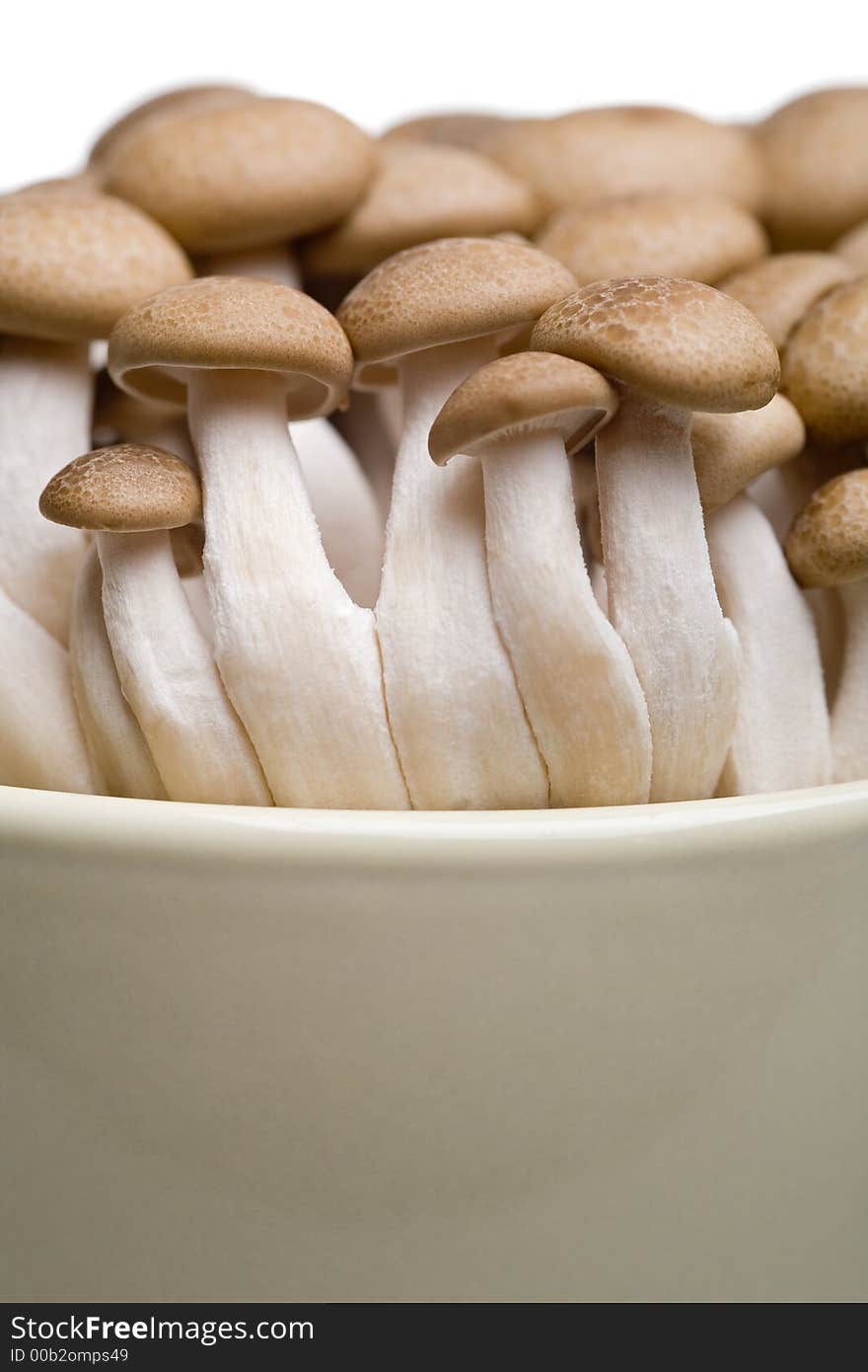 Mushrooms in a cup