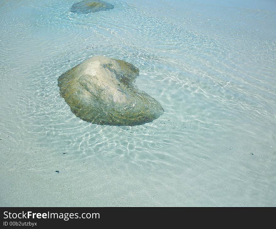 Sea Puddles