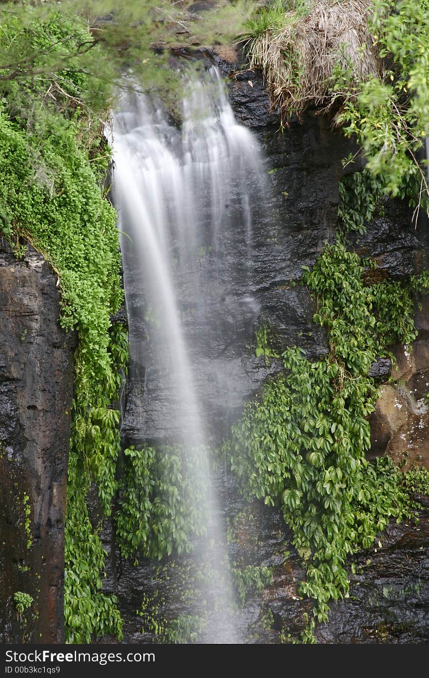 Water cascades down rocks with lush green vegetation around. Water cascades down rocks with lush green vegetation around