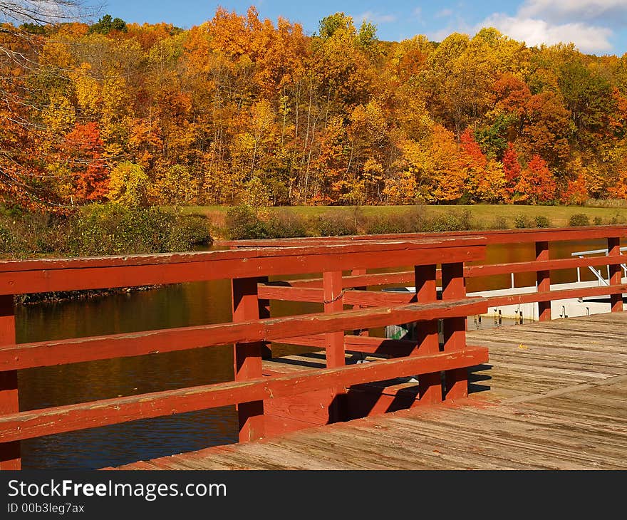 Trees Changing Colors In A Park