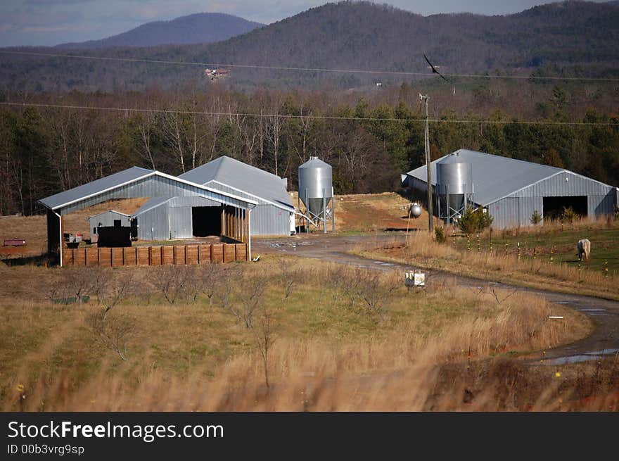 On The Farm