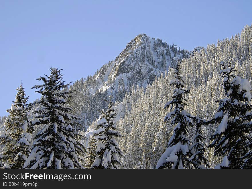 Mountains and trees at Alpental WA. Mountains and trees at Alpental WA