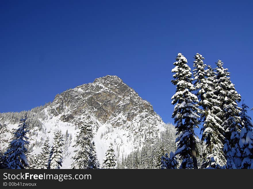 Mountain and trees in Alpental, WA. Mountain and trees in Alpental, WA