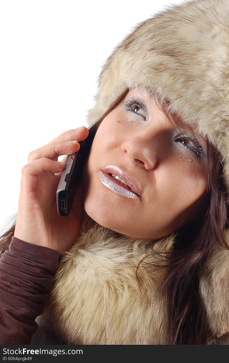 Attractive woman in brown fur. Attractive woman in brown fur