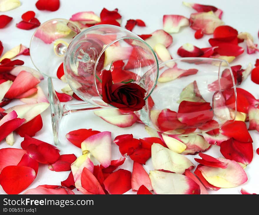 Two glass cup with red rose and petal background