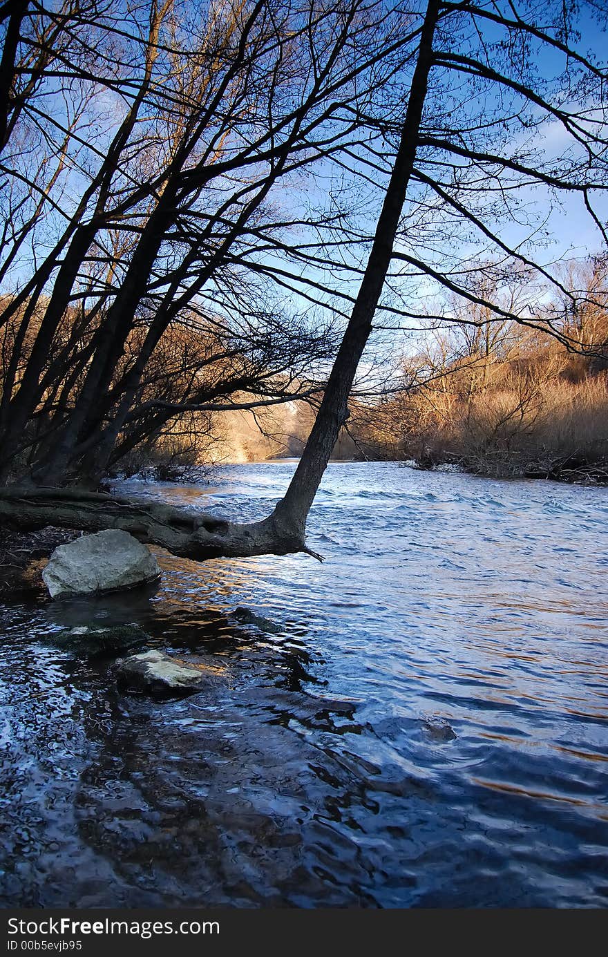 Beautiful stream on a sunny day and trees